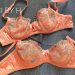 Từ mẹ bỉm đến chủ shop nội y thiết kế DICI Lingerie – Hành trình phát triển của học viên Đồng Hoan