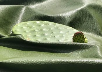 Vật liệu da thực vật Desserto làm từ xương rồng nopal