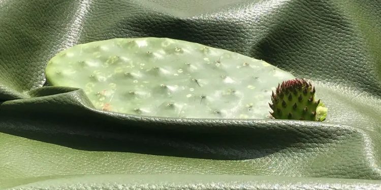 Vật liệu da thực vật Desserto làm từ xương rồng nopal