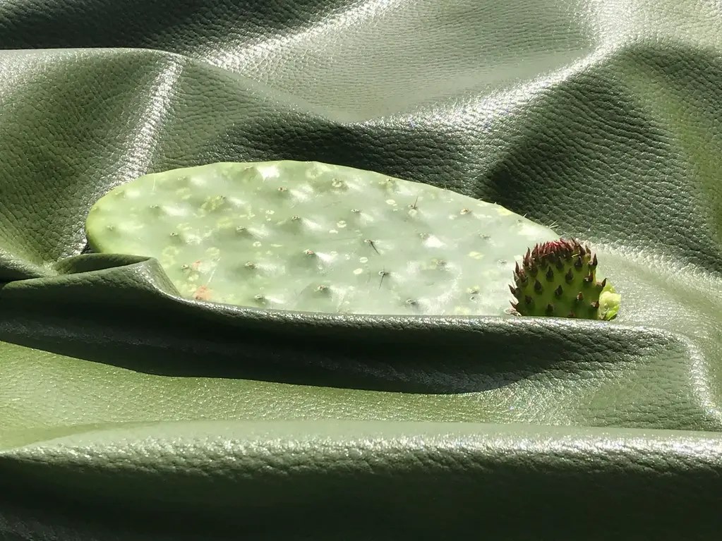 Vật liệu da thực vật Desserto làm từ xương rồng nopal