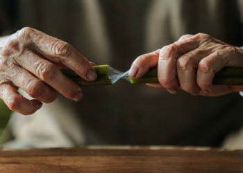 Đôi tay nghệ nhân se sợi tơ sen thủ công