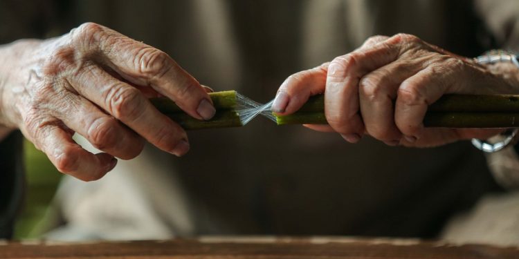 Đôi tay nghệ nhân se sợi tơ sen thủ công